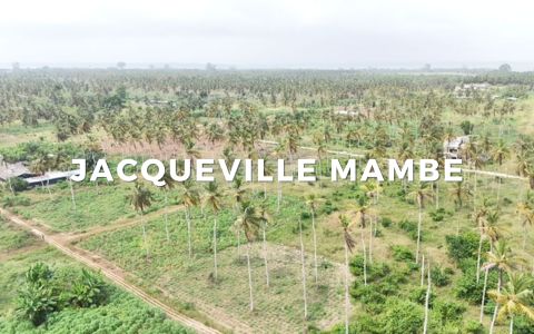 Terrain investissement Jacqueville Terrain investissement Jacqueville