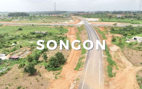 Terrain investissement Songon Terrain investissement Songon